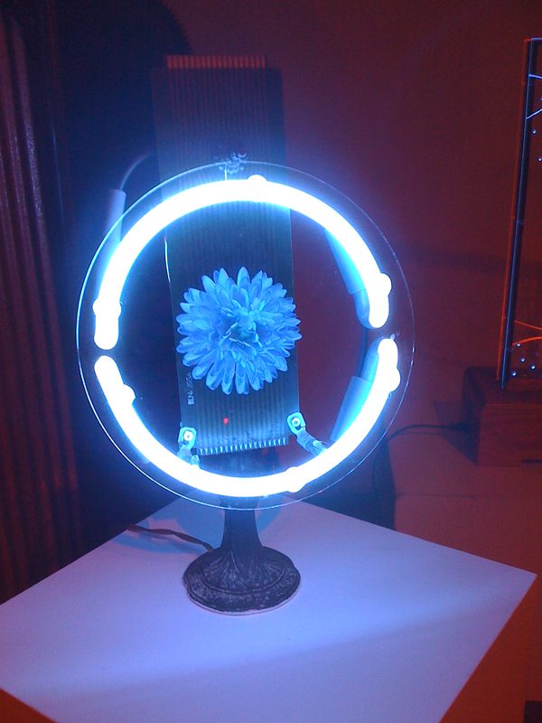 Blue neon ring surrounding a blue flower on a cast-iron stand
